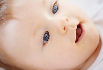 Image showing Home, bed and face of happy baby relax, rest and calm in nursery for sleeping or wake up in morning. Family, youth and closeup of infant newborn in bedroom for child development, growth and wellness