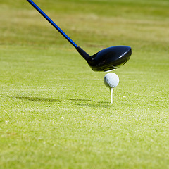 Image showing Sports, golf and ball on course with club for playing game, practice and training for competition. Professional golfer, grass and closeup of golfing driver for winning stroke or score for tournament