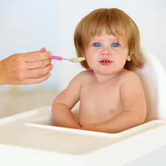 Image showing Baby, chair and eating food or portrait for healthy dinner or childhood development, hungry on spoon. Hand, feeding seat and kid face for lunch time or nutrition vitamins, breakfast or parent care