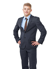 Image showing Professional, smile and portrait of business man for corporate, financial advisor and career. Accountant, happiness and confident with face of male person on white background for ambition employee