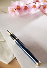 Image showing pen