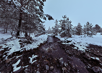 Image showing Amazing Cinematic Aerial View On Freezing River. Aerial View Flight Above Frozen Creek Scenic View Of Nature