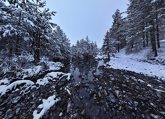 Image showing Amazing Cinematic Aerial View On Freezing River. Aerial View Flight Above Frozen Creek Scenic View Of Nature