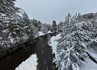 Image showing Amazing Cinematic Aerial View On Freezing River. Aerial View Flight Above Frozen Creek Scenic View Of Nature