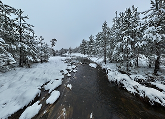 Image showing Amazing Cinematic Aerial View On Freezing River. Aerial View Flight Above Frozen Creek Scenic View Of Nature