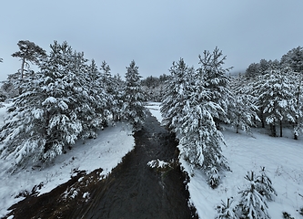 Image showing Amazing Cinematic Aerial View On Freezing River. Aerial View Flight Above Frozen Creek Scenic View Of Nature