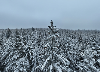 Image showing Amazing Cinematic Aerial View On Freezing River. Aerial View Flight Above Frozen Creek Scenic View Of Nature