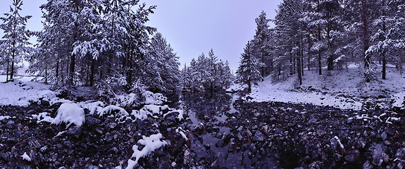 Image showing Amazing Cinematic Aerial View On Freezing River. Aerial View Flight Above Frozen Creek Scenic View Of Nature