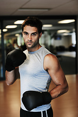 Image showing Man, boxing gloves and workout with gym portrait for health, wellness or training for fight, performance or sport. MMA, boxer or strong for contest, competition or exercise for development with sweat