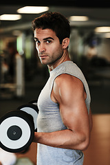 Image showing Portrait, dumbbells and man with fitness, workout and healthy with wellness, muscle and practice. Face, person and guy with gym equipment, training and energy with performance, sweaty or bodybuilder