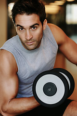 Image showing Portrait, dumbbells and man with fitness, training and healthy with wellness, workout and practice. Face, person and guy with gym equipment, progress and strength with muscle, sweaty and bodybuilder