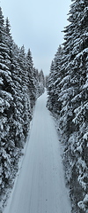 Image showing Misty Sunset on the Snowy Mountains aerial drone point of view Forests cross country paths in pine trees winter with fresh country road.