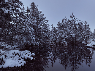 Image showing Amazing Cinematic Aerial View On Freezing River. Aerial View Flight Above Frozen Creek Scenic View Of Nature