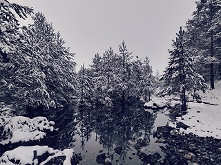 Image showing Amazing Cinematic Aerial View On Freezing River. Aerial View Flight Above Frozen Creek Scenic View Of Nature