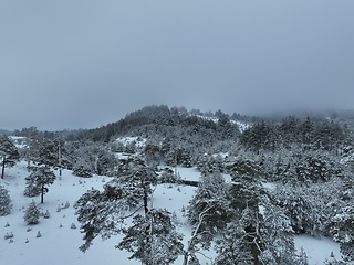 Image showing Amazing Cinematic Aerial View On Freezing River. Aerial View Flight Above Frozen Creek Scenic View Of Nature