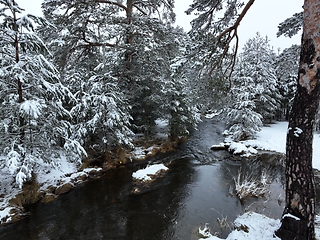 Image showing Amazing Cinematic Aerial View On Freezing River. Aerial View Flight Above Frozen Creek Scenic View Of Nature