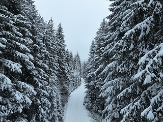 Image showing Misty Sunset on the Snowy Mountains aerial drone point of view Forests cross country paths in pine trees winter with fresh country road.