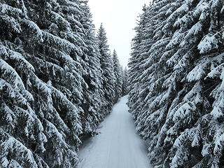 Image showing Misty Sunset on the Snowy Mountains aerial drone point of view Forests cross country paths in pine trees winter with fresh country road.