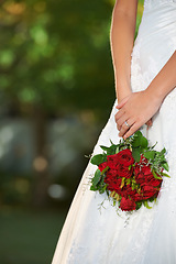 Image showing Woman, hands and wedding rose bouquet with love, commitment and trust ceremony for marriage. Engagement, celebration and flowers for event in a park with a red floral plant and bride dress outdoor