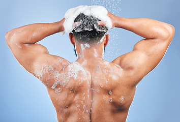 Image showing Shower, washing hair and back of man in studio for cleaning, hygiene and skincare on blue background. Dermatology, bathroom and person with shampoo, soap and foam for wellness, health or self care