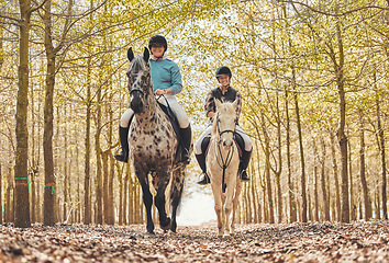 Image showing Portrait, women and horses in a forest, riding and happiness with animal care, stallion and countryside. Adventure, pets and girls with joy, activity or friends with hobby, bonding together and woods