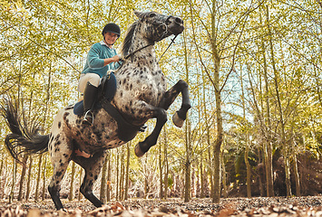 Image showing Horse with woman, riding in forest and jumping practice for competition, race or dressage with trees in nature. Equestrian sport, jockey or rider on animal in woods for adventure, training and care.