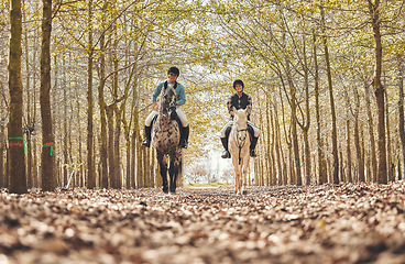Image showing Portrait, women and horses in a forest, nature and happiness with animal care, stallion and countryside. Adventure, pets and girls with joy, activity and relax with hobby, bonding together and woods