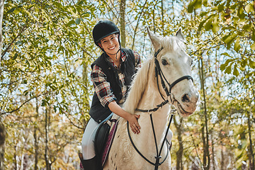 Image showing Portrait of happy woman on horse, riding in forest and practice for competition, race or dressage with trees. Equestrian sport, jockey or rider on animal in woods for adventure, training and care.