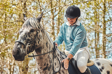 Image showing Horse with woman, riding in forest and practice for competition, race or dressage with trees in nature. Equestrian sport, female jockey or rider on animal in woods for adventure, training and care.