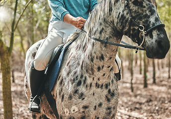 Image showing Nature, closeup and woman riding a horse in forest training for a race, competition or event. Adventure, animal and young female person with stallion pet outdoor in the woods for equestrian practice.