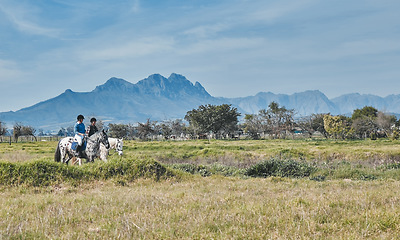 Image showing Horse, mountains and women with nature, friends and environment with fresh air, training and bonding. Stallion, outdoor and environment with animal care, pet and relax with joy, people and riding