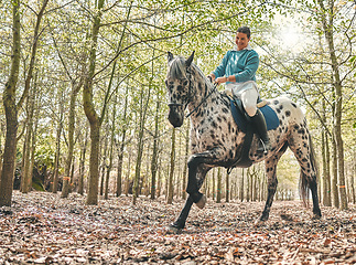 Image showing Smile, nature and woman riding a horse in a forest training for a race, competition or event. Adventure, animal and young female person with stallion pet outdoor in the woods for equestrian practice.