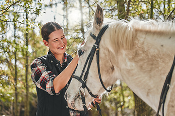 Image showing Happy woman with horse in forest, grooming in nature and love for animals, pets or dressage with trees. Equestrian sport, girl jockey or rider standing in woods for adventure, rub and smile on face.