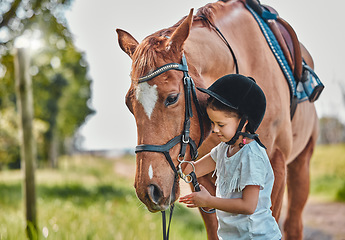 Image showing Happy, nature and child with a horse in a forest training for a race, competition or event. Adventure, animal and young girl kid with stallion pet outdoor in the woods for equestrian practice.