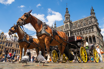 Image showing Carriage, horses, pigeons and tourists on the Grand-Place of Bru