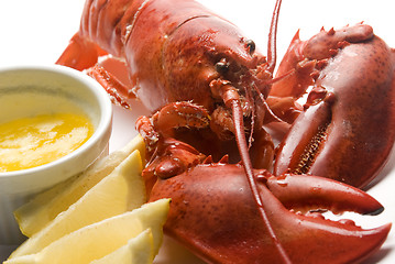 Image showing cooked lobster with butter and lemon wedges