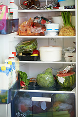 Image showing Fridge, shelves and food for nutrition in kitchen with fresh, organic and produce by choice. Green, natural and plants with vegetables, fruit and protein with decision for healthy diet for wellness