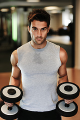 Image showing Portrait, dumbbells and man with fitness, exercise and healthy with wellness, workout and practice. Face, person or guy with gym equipment, muscle and performance with training, sweaty or bodybuilder