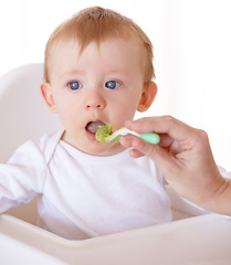 Image showing Sweet, spoon and baby eating vegetables in feeding chair in a studio for health and nutrition. Cute, natural and boy newborn, child or kid enjoying a meal for wellness diet by white background.