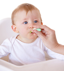 Image showing Cute, spoon and baby eating vegetables in feeding chair in a studio for health and nutrition. Sweet, natural and boy newborn, child or kid enjoying a meal for wellness diet by white background.