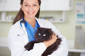 Image showing Vet portrait, cat and woman happiness for medical help, wellness healing services or healthcare support. Animal care kindness, veterinary job experience or hospital veterinarian smile with feline