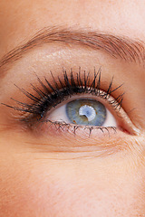 Image showing Woman, eyes and closeup with eyelashes, makeup and vision with iris. Zoom, macro and eyeball of a female model for optometry, future and retina for perspective and cosmetics with lash extensions