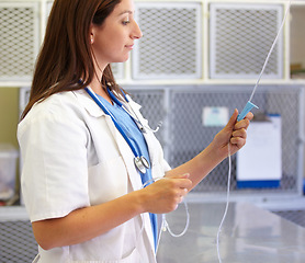 Image showing Healthcare, iv drip and a young woman vet in an animal hospital, getting ready for medical surgery. Intravenous, equipment and a confident medicine professional in a veterinary clinic for treatment