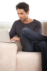 Image showing Relax, laptop and online with man on sofa for social media, networking and connection. Website, streaming and digital with person in living room at home for remote work, research and technology