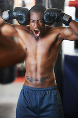 Image showing Boxing, gloves and portrait of black man shouting in gym with fitness, power and training challenge. Strong body, muscle and boxer in club, athlete with motivation and confidence in competition fight