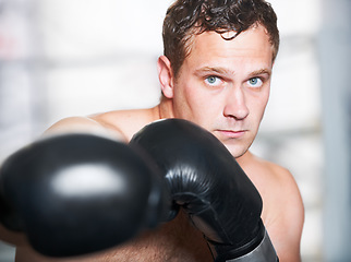 Image showing Boxing, gloves and serious portrait of man with fitness, power and training challenge in gym. Strong body, muscle and confidence, boxer or athlete with fist up and fearless for competition fight.