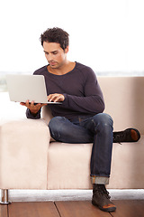 Image showing Man, work from home and typing on computer for stock market investment, planning and research with website on sofa. Startup freelancer or trader on a couch, laptop and trading software for analysis