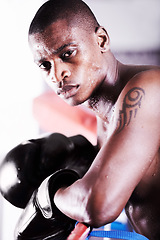 Image showing Boxing, gym and portrait of black man in ring with fitness, power and workout challenge at sports club. Strong body, face of athlete or boxer in gloves with sweat and confidence in competition fight.