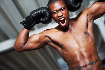 Image showing Boxing, shouting and portrait of fearless black man training with fitness, power or winning workout challenge. Strong body, muscle and excited boxer with scream and confidence in competition fighting