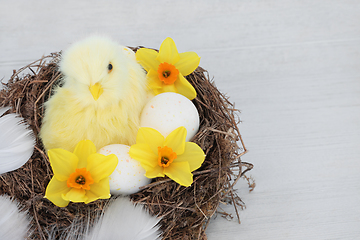 Image showing Easter Chick with Nest Eggs Flowers and Feathers